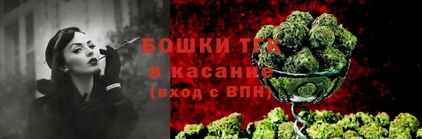 мдпв Козловка