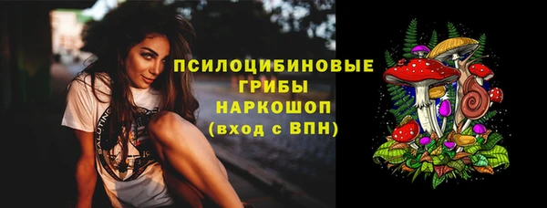 сатива Козельск