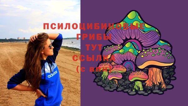 сатива Козельск