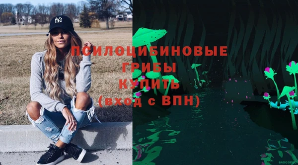мдпв Козловка