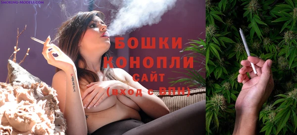 мдпв Козловка