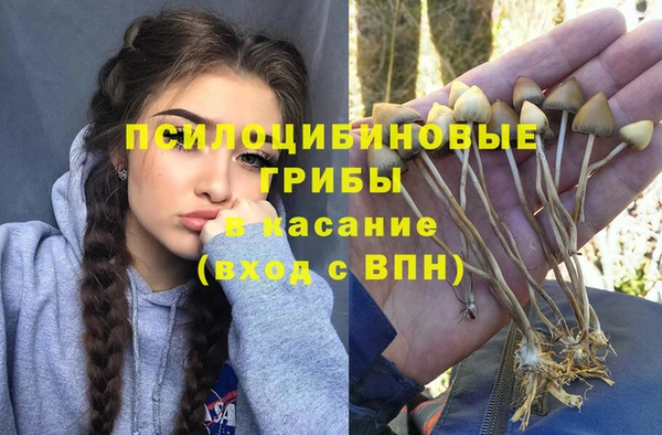 мдпв Козловка