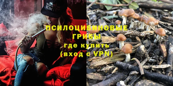 прущий лед Кодинск