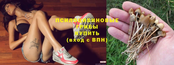прущий лед Кодинск
