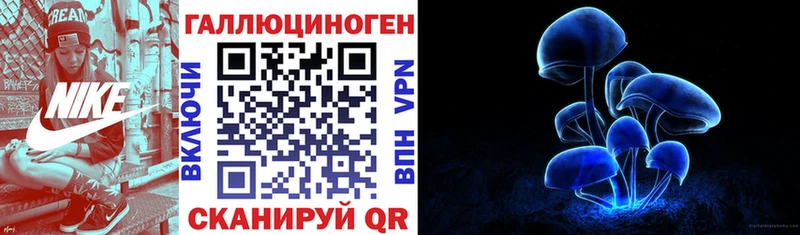 Галлюциногенные грибы Cubensis где купить Алдан
